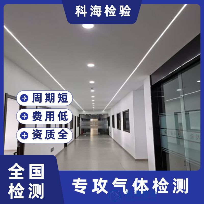 高純氨中雜質檢測技術：從氣相色譜到金屬離子分析